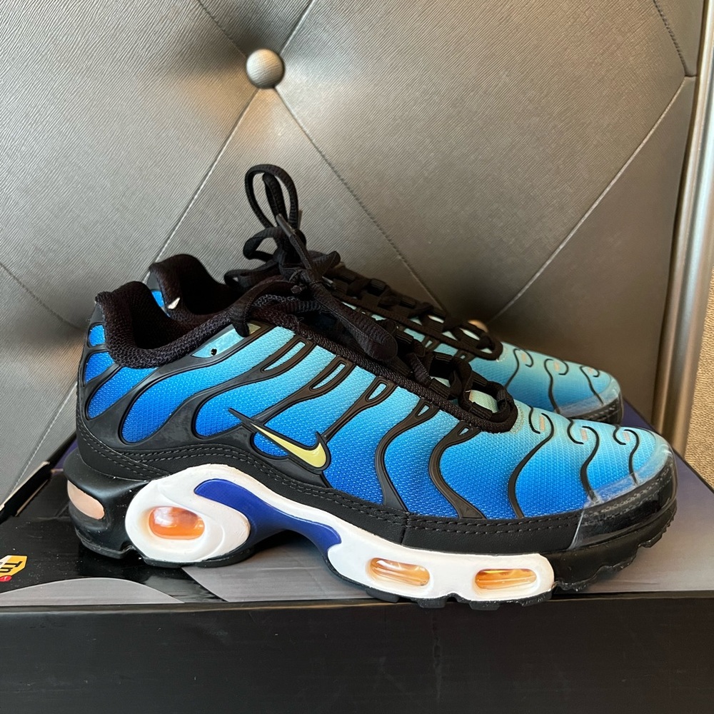 Nike Air Max Plus